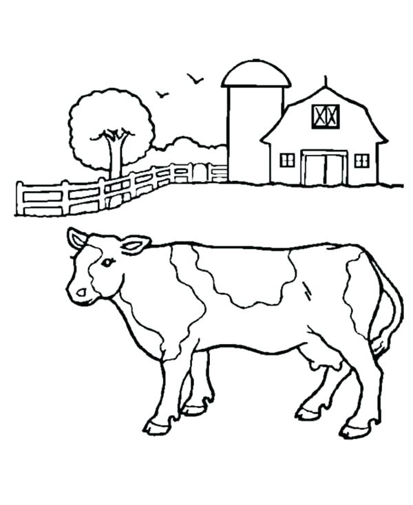600x734 Milk Coloring Page Milk Cow Coloring Pages Milk Coloring Page Barn