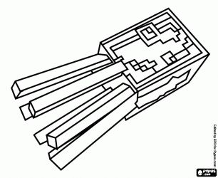 306x250 Drawn Squid Coloring Page