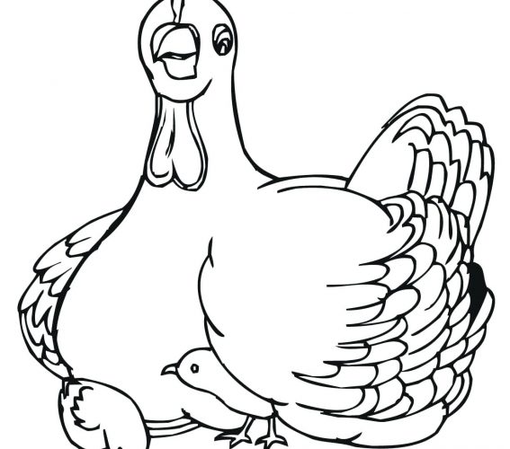 567x500 Coloring Page Chicken Coloring Page Baby Farm Animal Minecraft