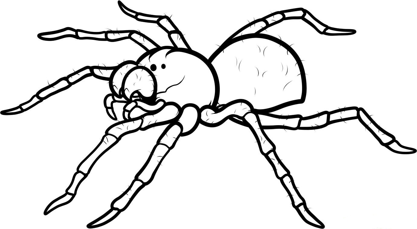1381x759 Simple Ideas Spider Coloring Pages Spider Coloring Pages