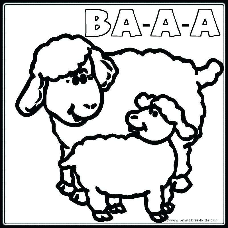 800x800 Coloring Page Of A Sheep