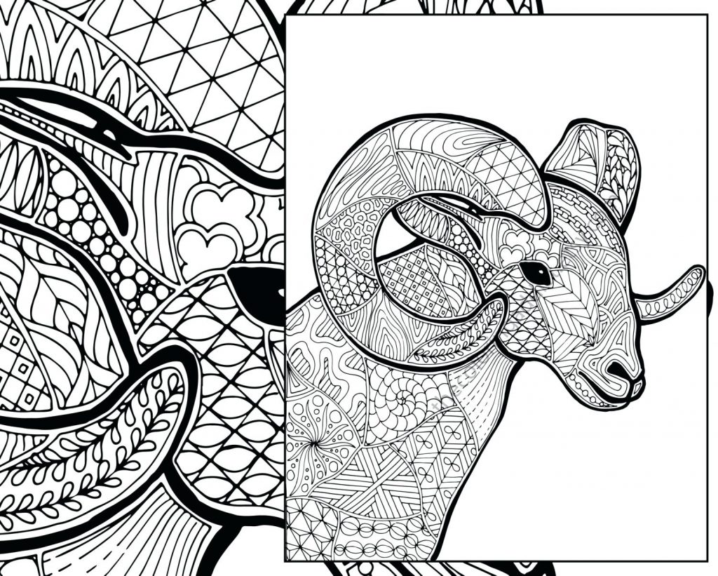 1024x821 Coloring Pages Sheep Coloring Page Pages The Lost Bible Story