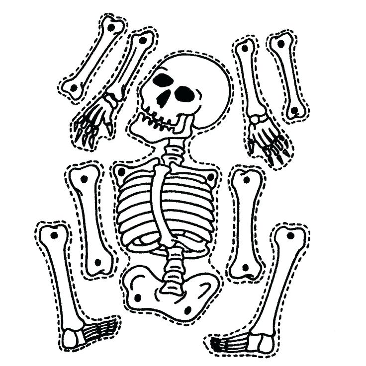 736x737 Printable Skeleton Pattern Coloring Printable Skeleton Pattern