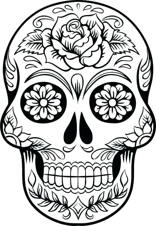 505x730 Skeleton Coloring Pages Awesome Human Skeleton Coloring Pages Free