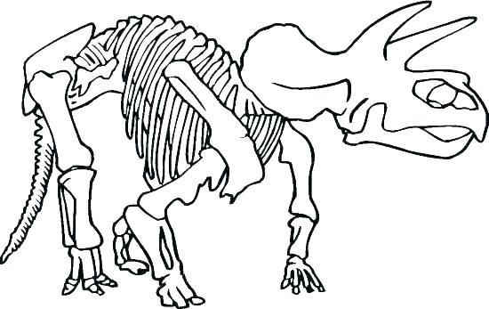 550x347 Skeleton Coloring Sheet Coloring Ideas Pro