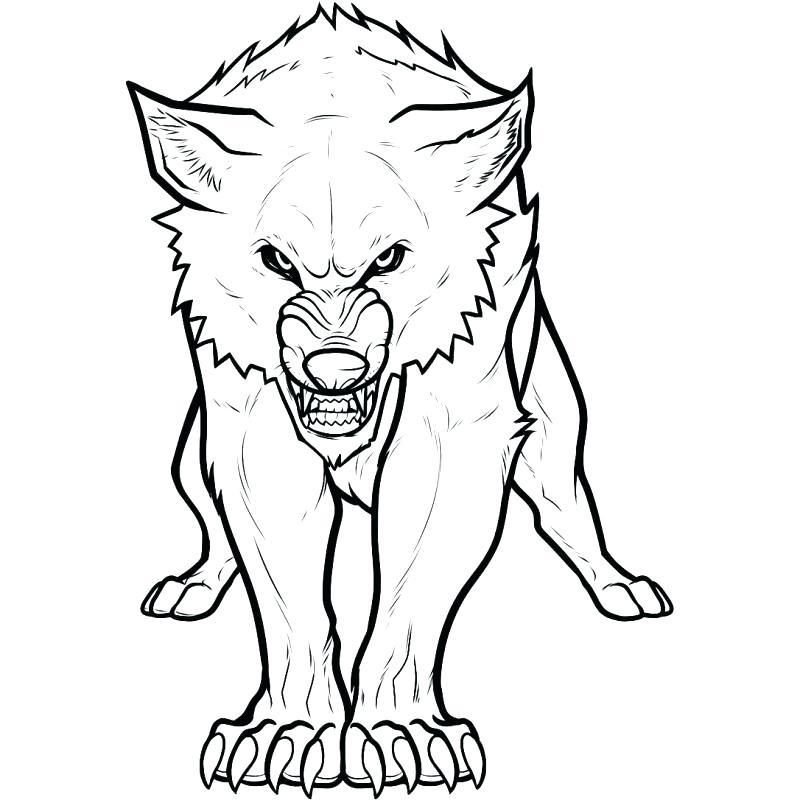 800x800 Coloring Pages Wolf Anime Wolf Coloring Pages Wolf Color Pages
