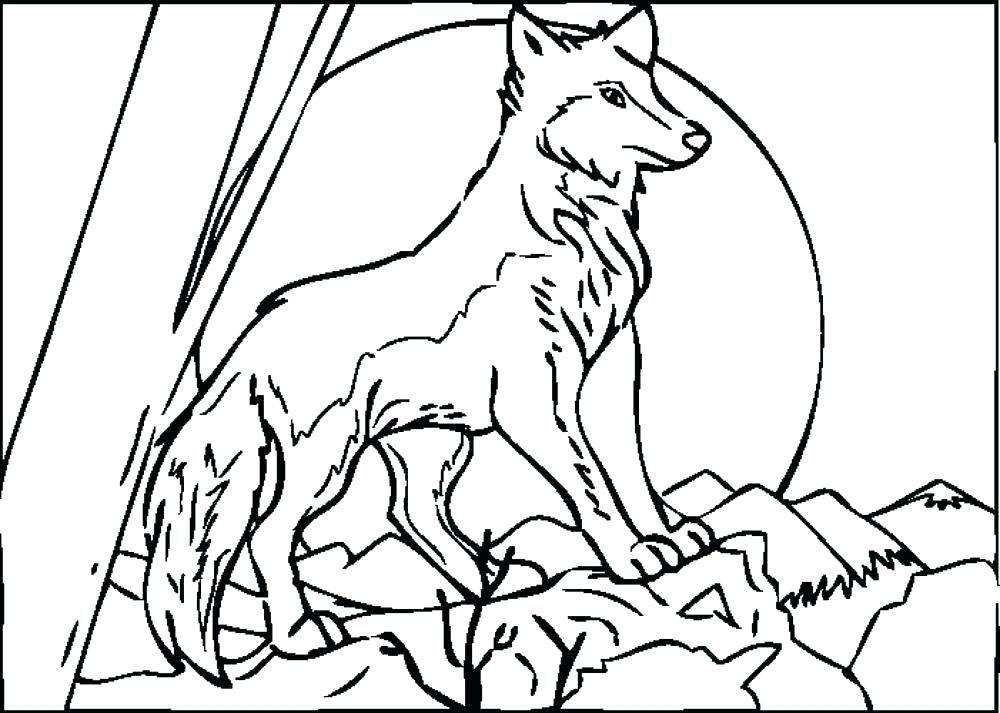1000x713 Coloring Pages Wolf Wolf Pack Coloring Pages Wolf Pack Coloring