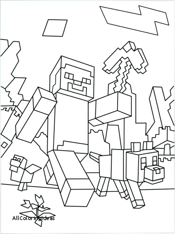 565x755 Minecraft Coloring Pages Fresh Free Coloring Pages With Additional