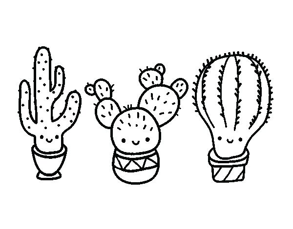 600x470 Cactus Coloring Page Cactus Coloring Pages Mini Cactus Coloring
