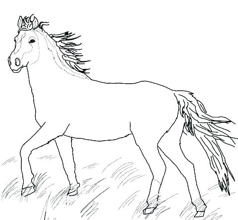 480x444 Free Horse Coloring Pages Also Printable Horse Coloring Pages