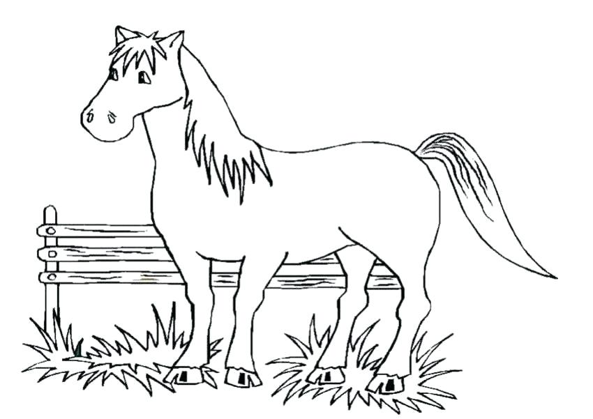 850x601 Free Horse Coloring Pages It S Here Printable Pictures Of Horses