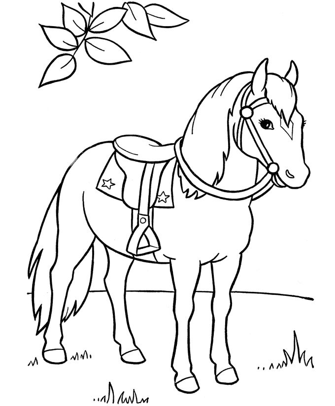 680x822 Horse Coloring Pages