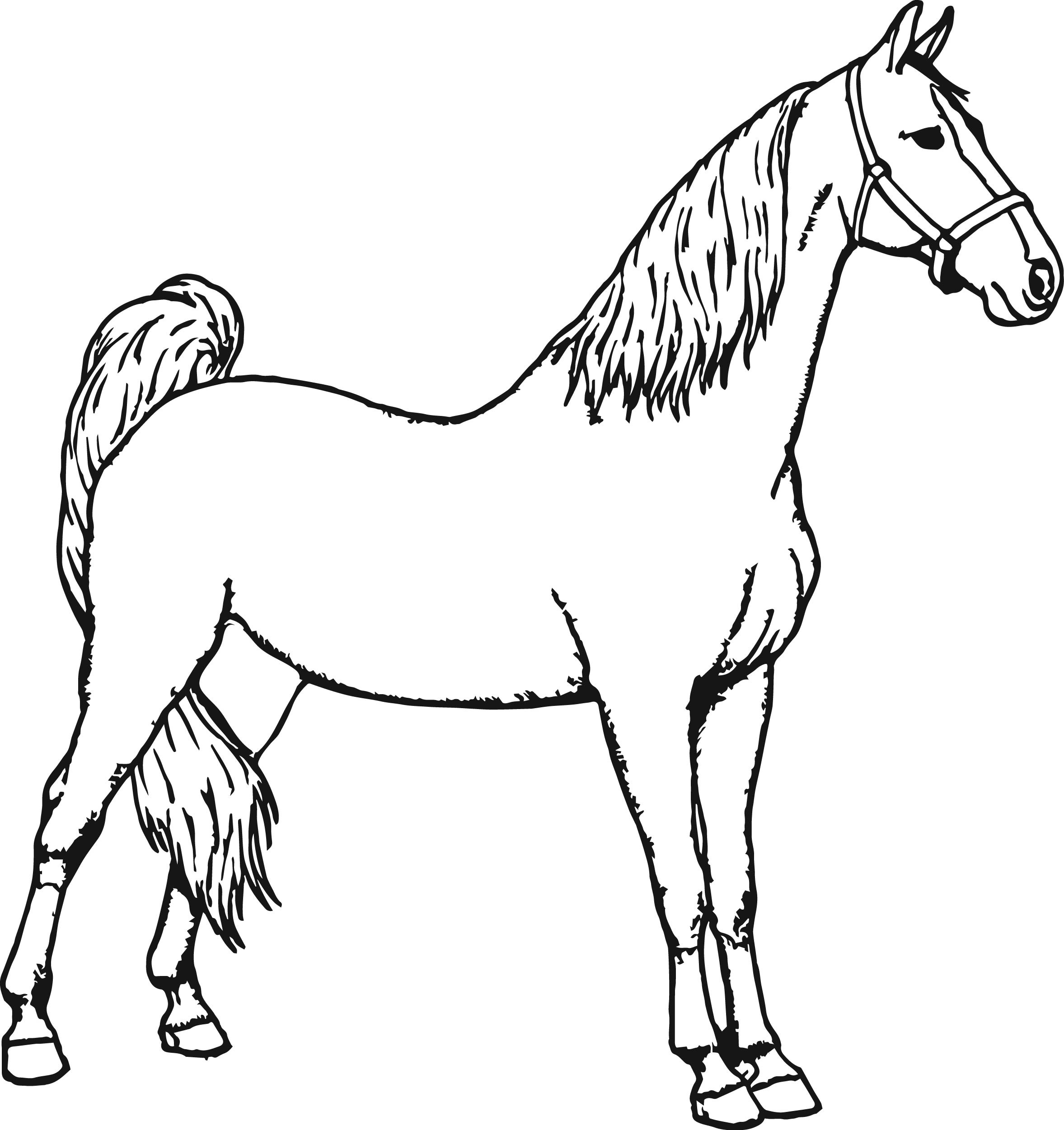 Miniature Horse Coloring Pages at GetDrawings | Free download