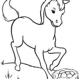 268x268 Miniature Horse Coloring Page Archives