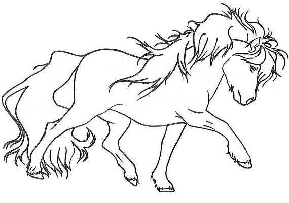 570x400 Miniature Horse Pony Chromatic Creations Free Style