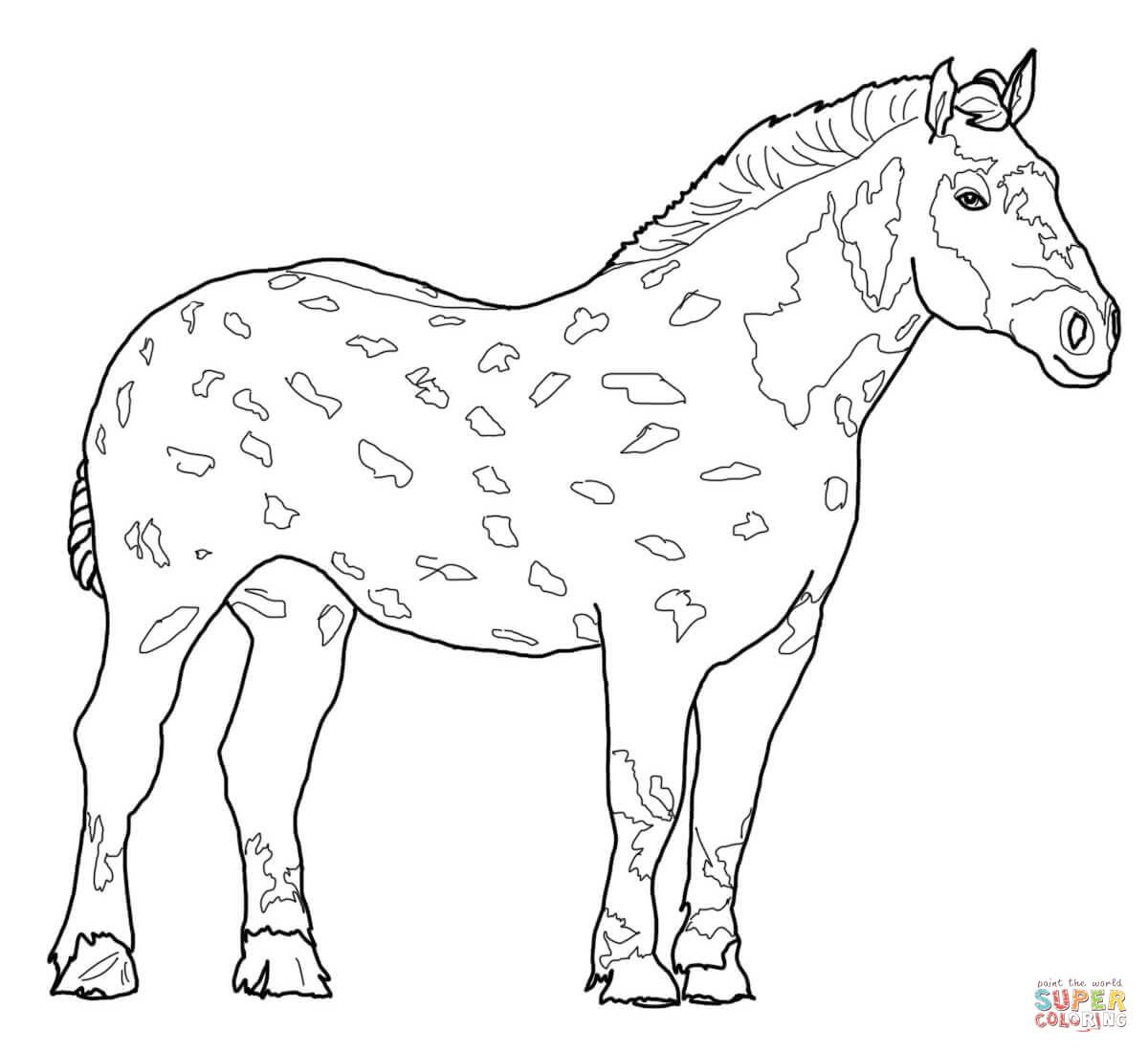 1200x1100 Coloring Horses Horse