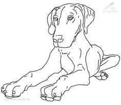 236x206 Miniature Pinscher Puppy Coloring Page Super Coloring Dogs