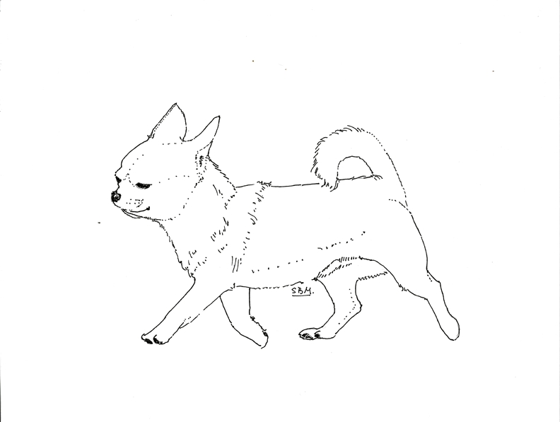 792x597 Chihuahua Coloring Pages Images Free Coloring Pages