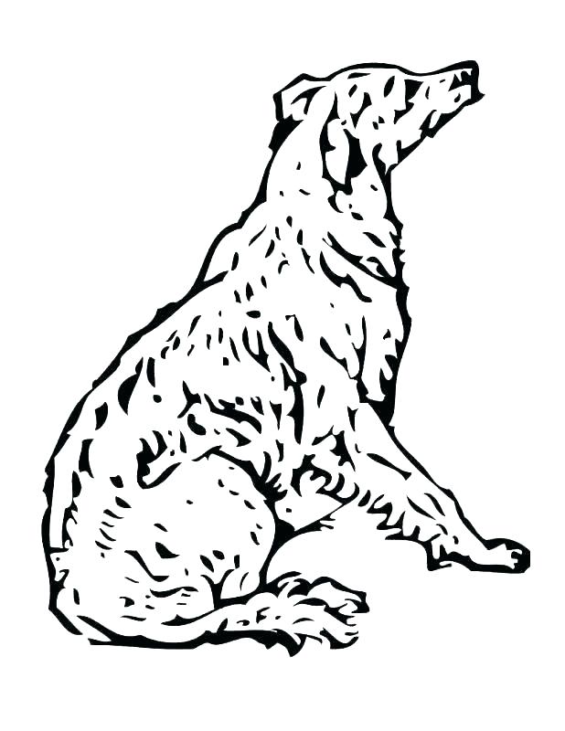 618x800 Poodle Coloring Pages To Print Free Printable Poodle Coloring