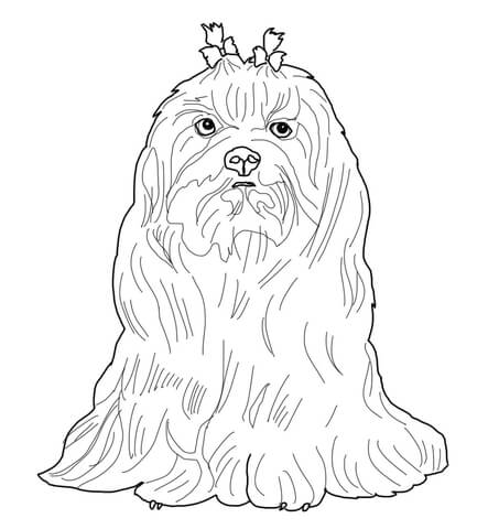 443x480 Rottweiler Coloring Page