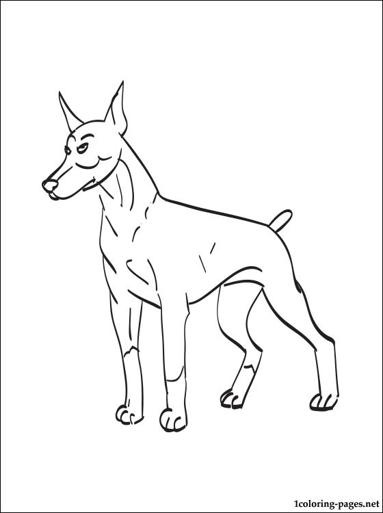 560x750 Wonderful Design Ideas Doberman Coloring Pages Pinscher Page