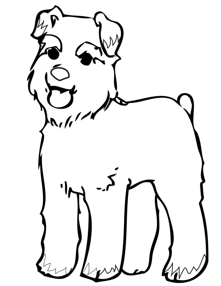 736x952 Miniature Schnauzer Coloring Pages Printable Coloring Pages