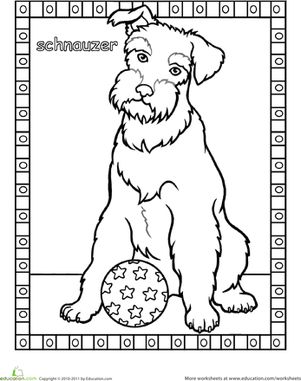 301x381 Schnauzer Coloring Page Animals First For Schnauzer Coloring Page