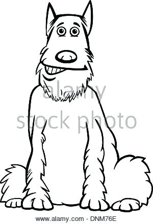 300x439 Schnauzer Coloring Page Coloring Book Dog Purebred Dogs Coloring