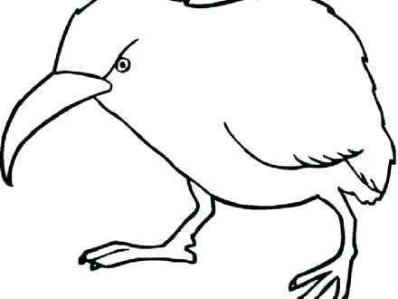 440x330 Schnauzer Coloring Page Picture Miniature Schnauzer Coloring Pages