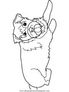 225x300 Miniature Schnauzer Colouring Pages, Schnauzer Coloring Page