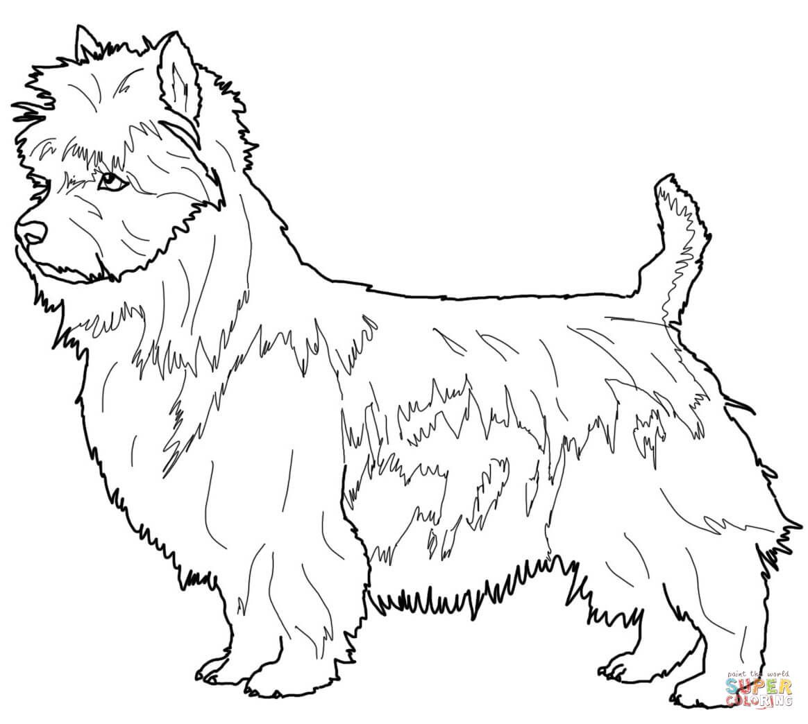 1164x1044 Australian Terrier Coloring Page Dogs Category Select