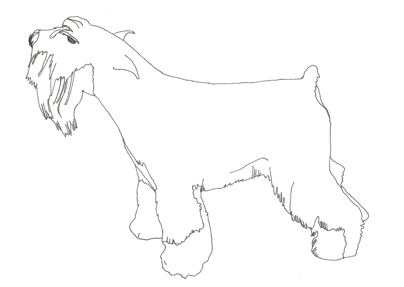 809x576 Dog Coloring Pages