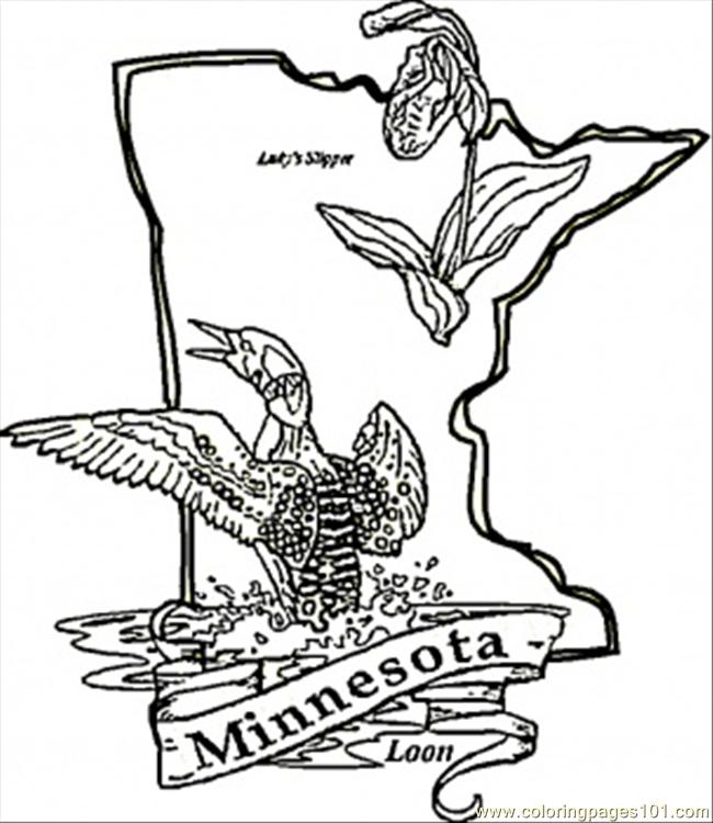 650x750 Minnesota Coloring Pages