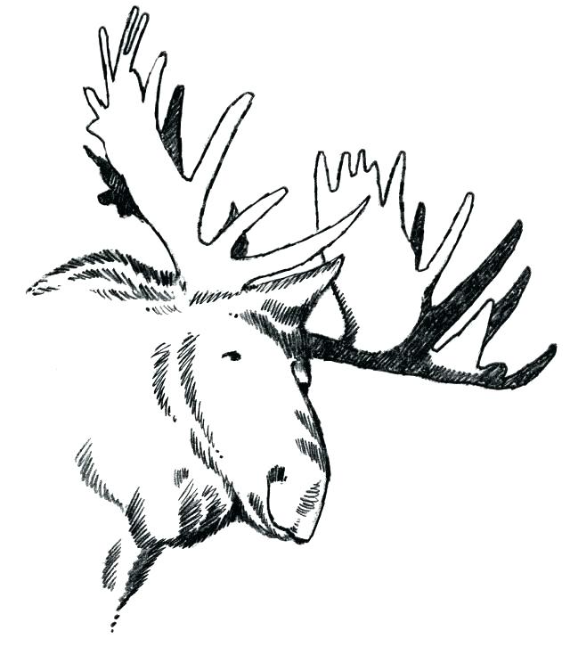 640x735 Where The Wild Things Are Coloring Page Inspiring Where The Wild