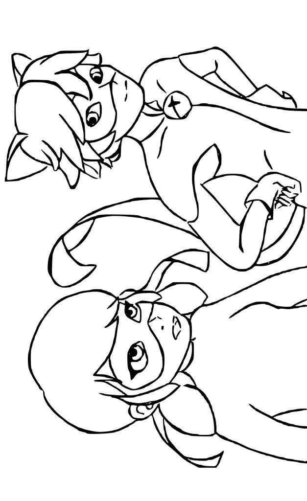 627x1024 Cat Noir And Ladybug Together Coloring Page