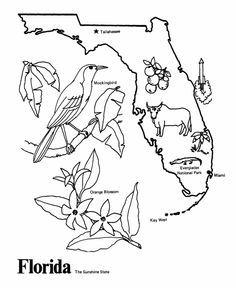 236x288 Mississippi Coloring Pages To Print