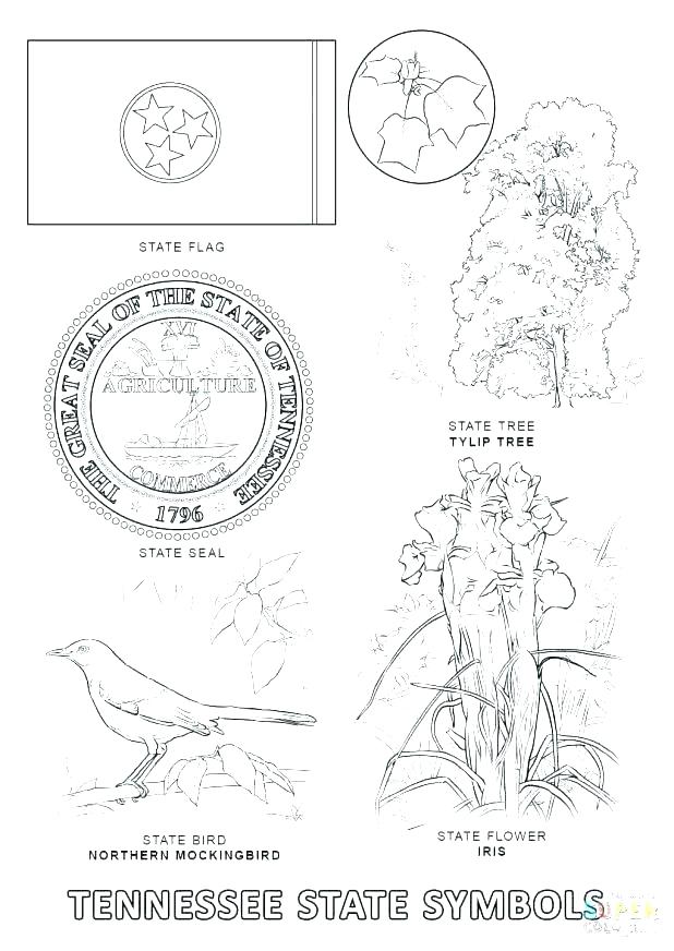 618x872 Mockingbird Coloring Page