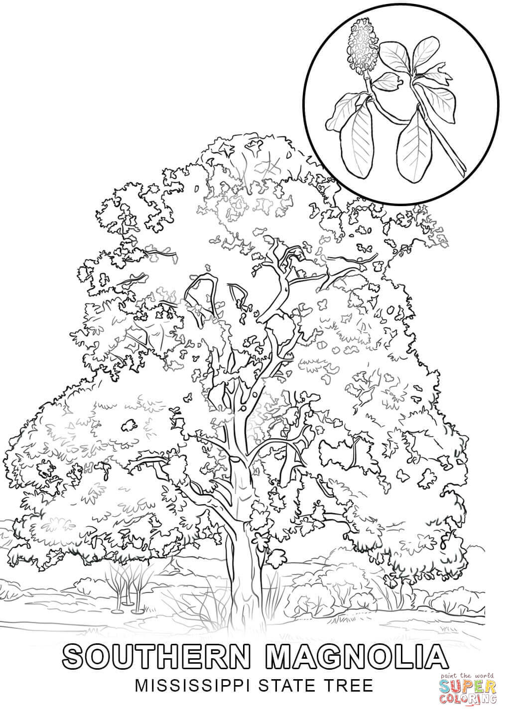 1020x1440 Mississippi State Tree Coloring Page Inside