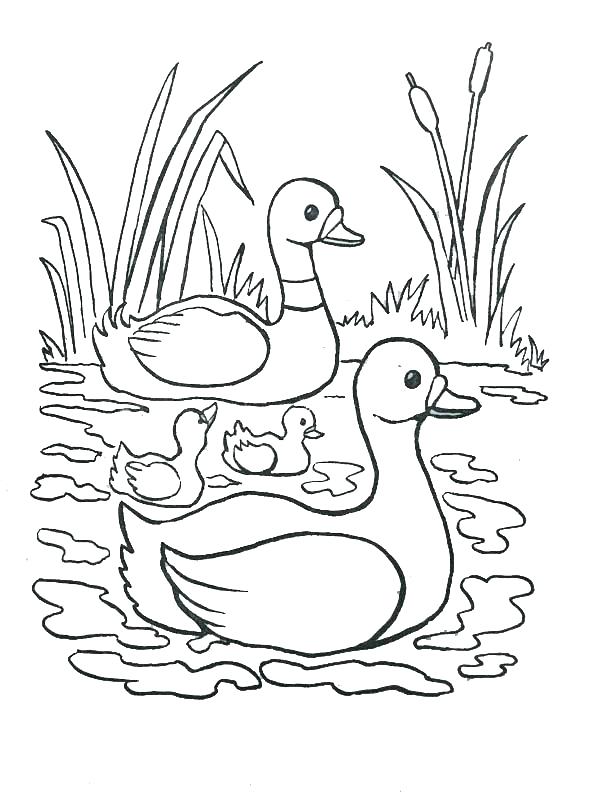 595x794 Coloring Page Of A River Coloring Design