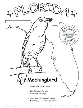 350x453 Mockingbird Coloring Page