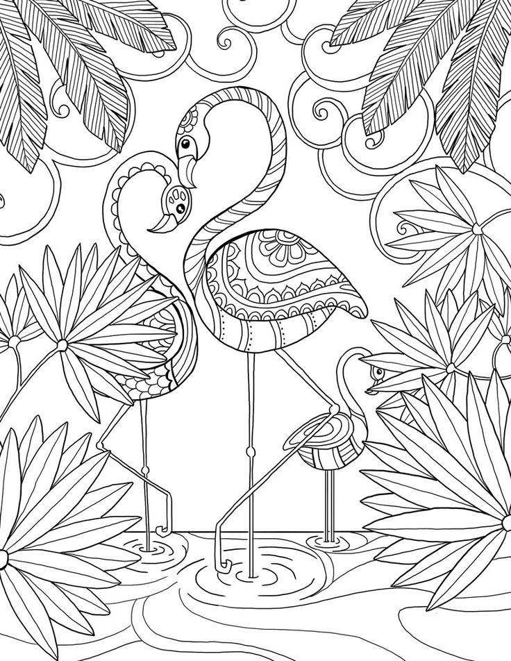 736x952 Best Florida Images On Coloring Books, Coloring