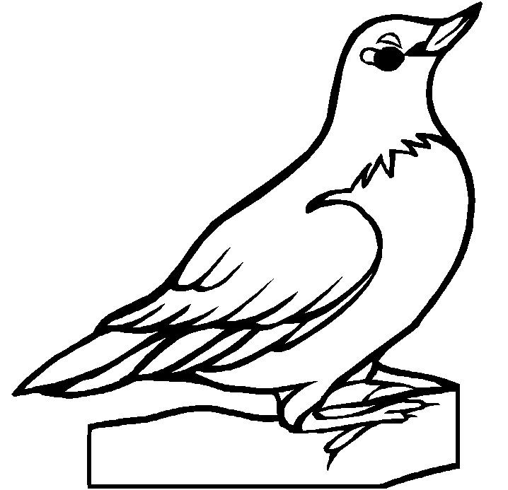 718x693 How To Draw Alaska State Bird