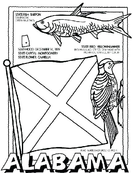 431x560 Mississippi Coloring Page State Coloring Pages Plus State Symbol