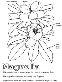 236x314 Mississippi State Quarter Coloring Page Usa State Quarters