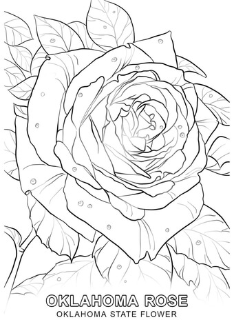 340x480 Enchanting Mississippi State Coloring Pages Embellishment