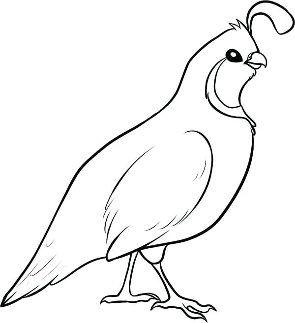 600x657 Missouri Coloring Page Click To See Printable Version State