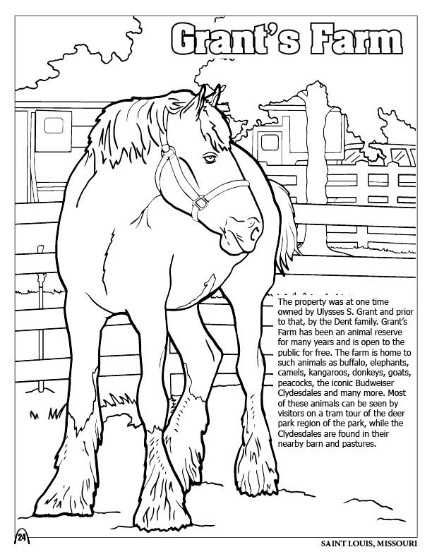 612x792 Coloring Books St Louis