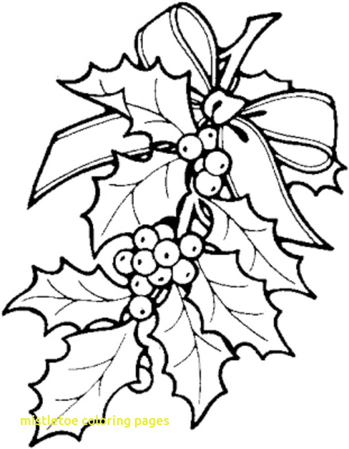 700x900 Mistletoe Coloring Pages Mistletoe