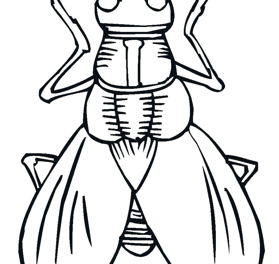 950x900 Mistletoe Coloring Page Amazing Mistletoe Coloring Pages Free