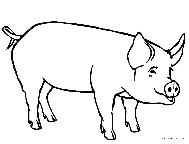 800x609 Mo Willems Coloring Pages